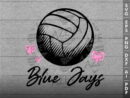 Blue Jays Volleyball Ball SVG Design azzeva.com 22100296